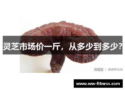 灵芝市场价一斤,从多少到多少?