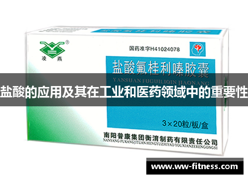 盐酸的应用及其在工业和医药领域中的重要性
