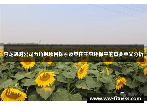 尊龙凯时公司五角枫项目探索及其在生态环保中的重要意义分析