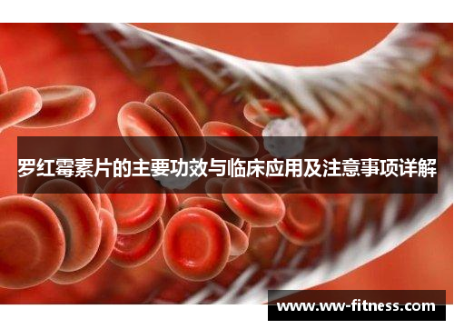 罗红霉素片的主要功效与临床应用及注意事项详解